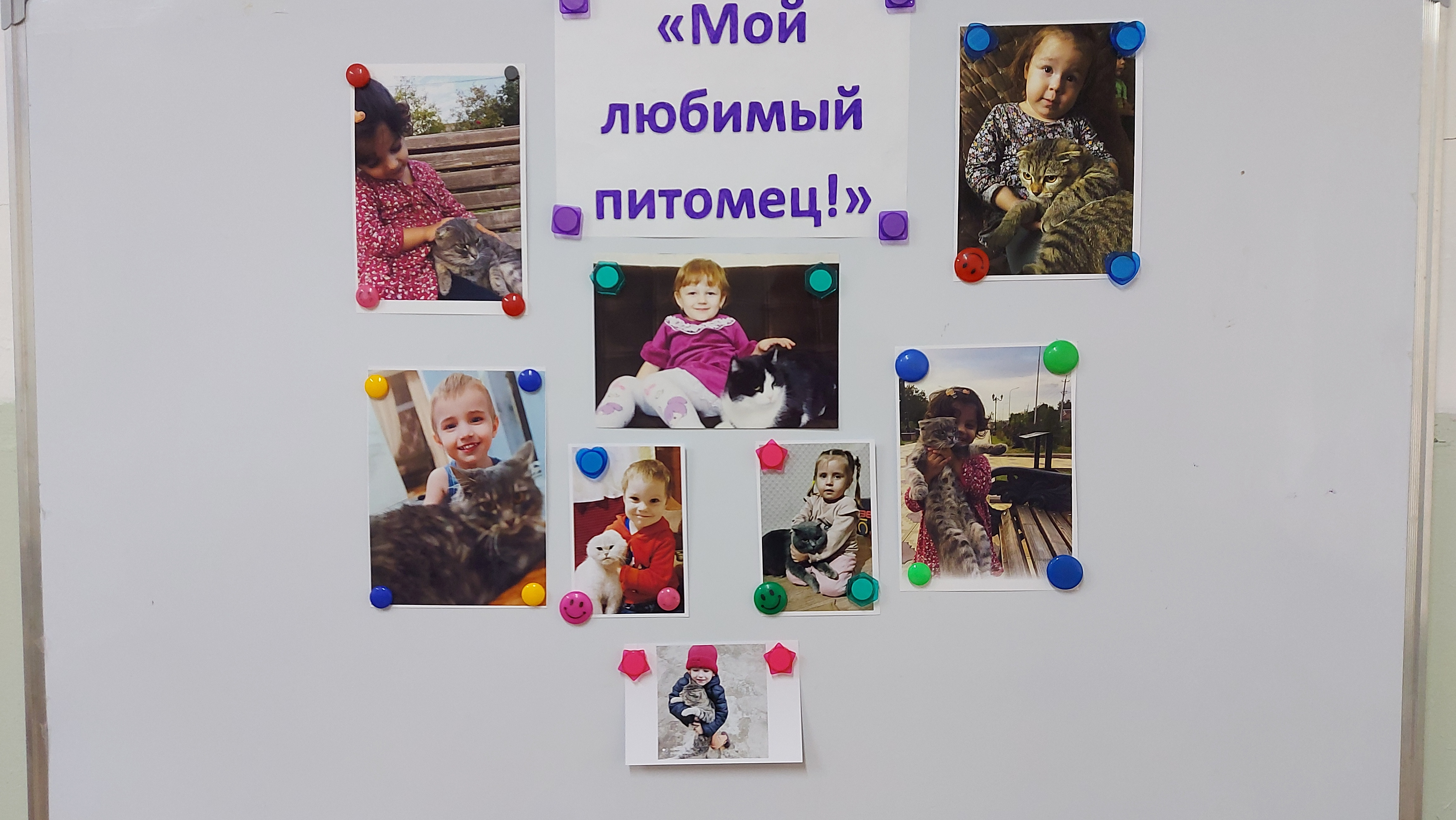 Фотовыставка к Всемирному дню домашних животных "Мой любимый питомец!"