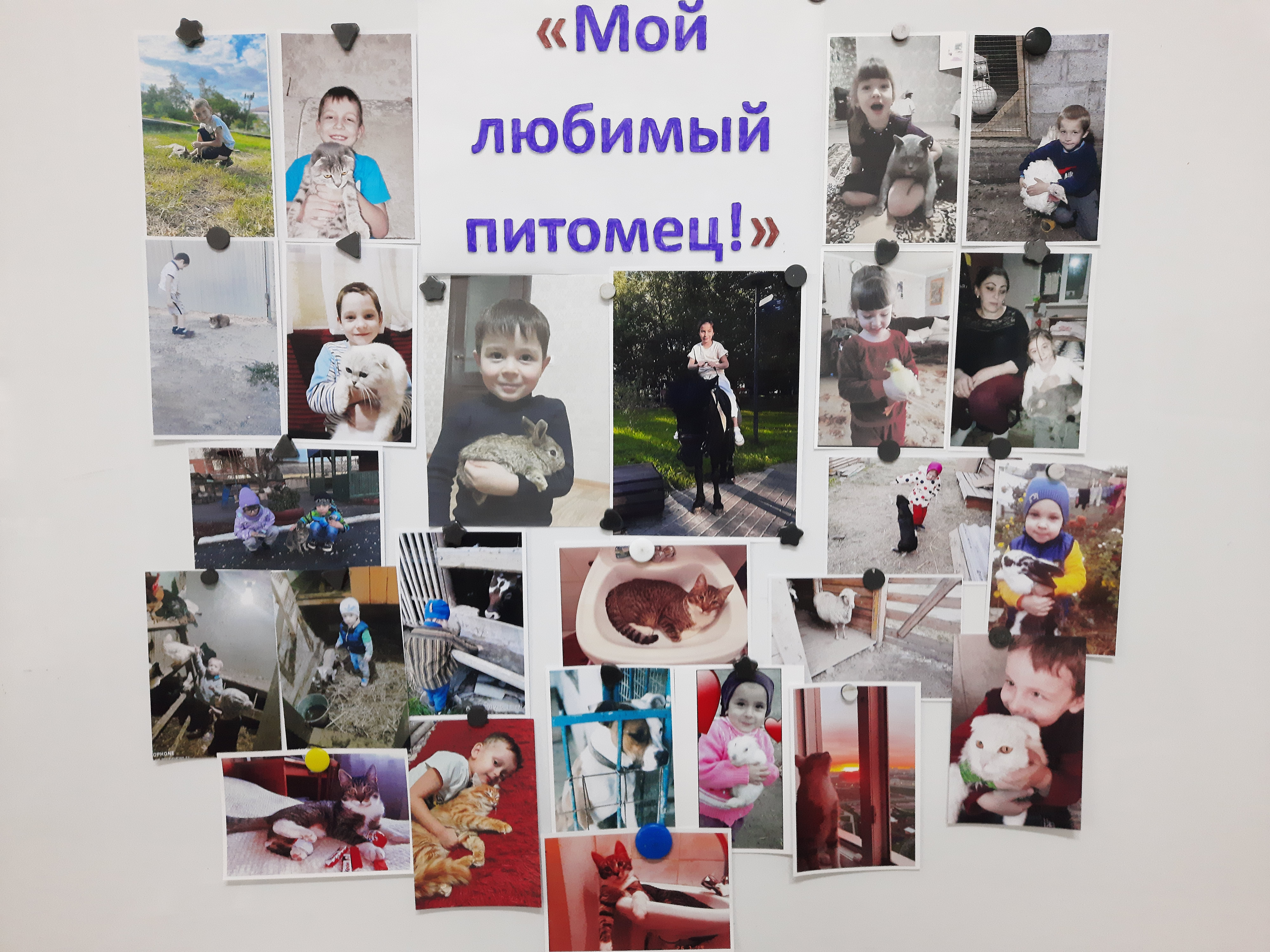 Фотовыставка к Всемирному дню домашних животных "Мой любимый питомец!"