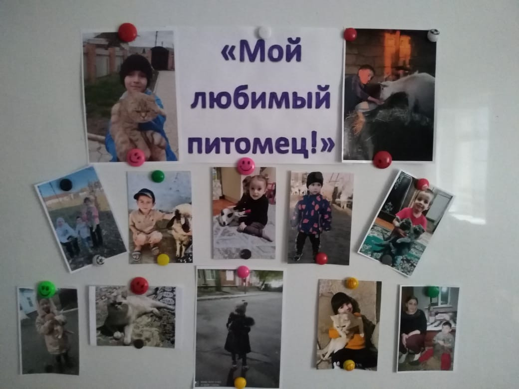 Фотовыставка к Всемирному дню домашних животных "Мой любимый питомец!"