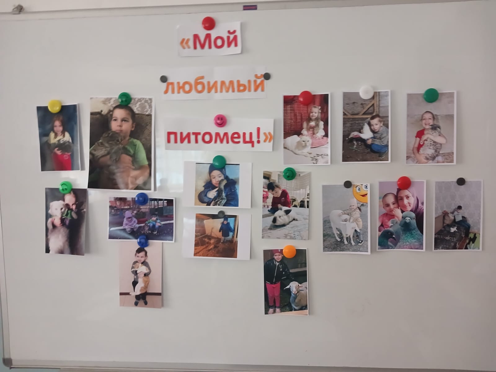 Фотовыставка к Всемирному дню домашних животных "Мой любимый питомец!"