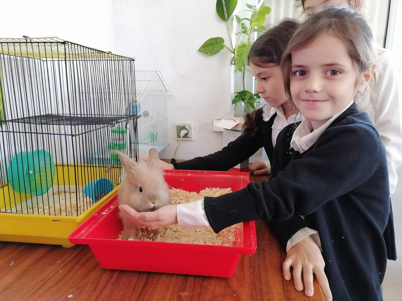 "Наши будни"- 2023- 2024 у.г.