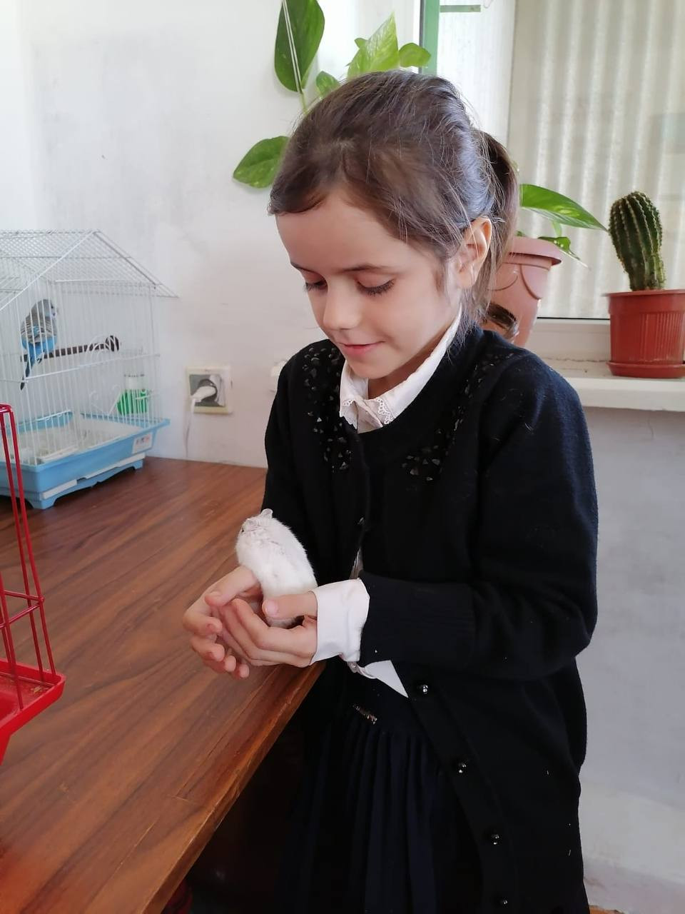 "Наши будни"- 2023- 2024 у.г.