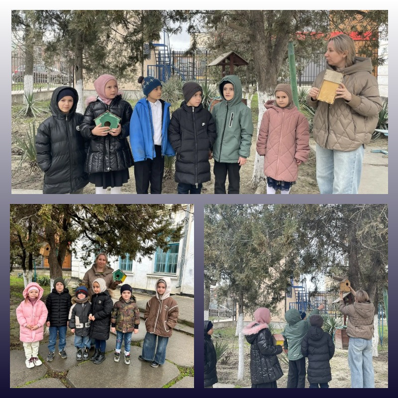 "Подарите птице дом"