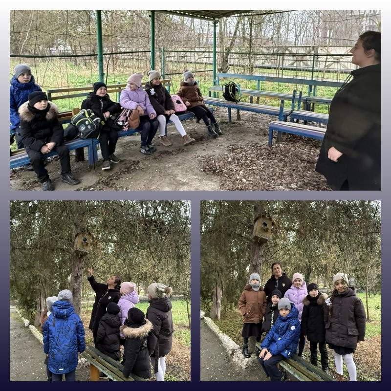 "Подарите птице дом"