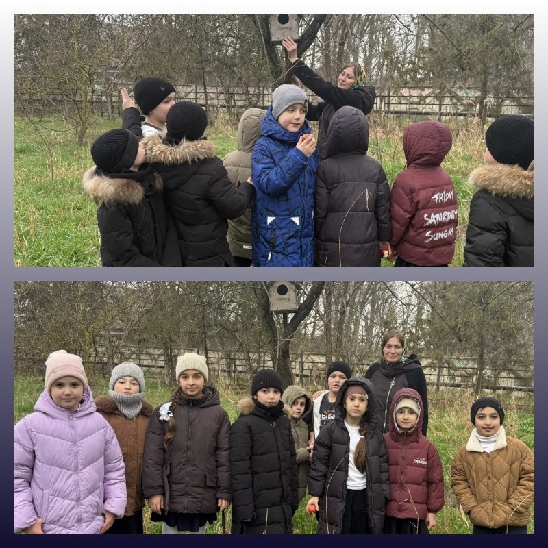 "Подарите птице дом"