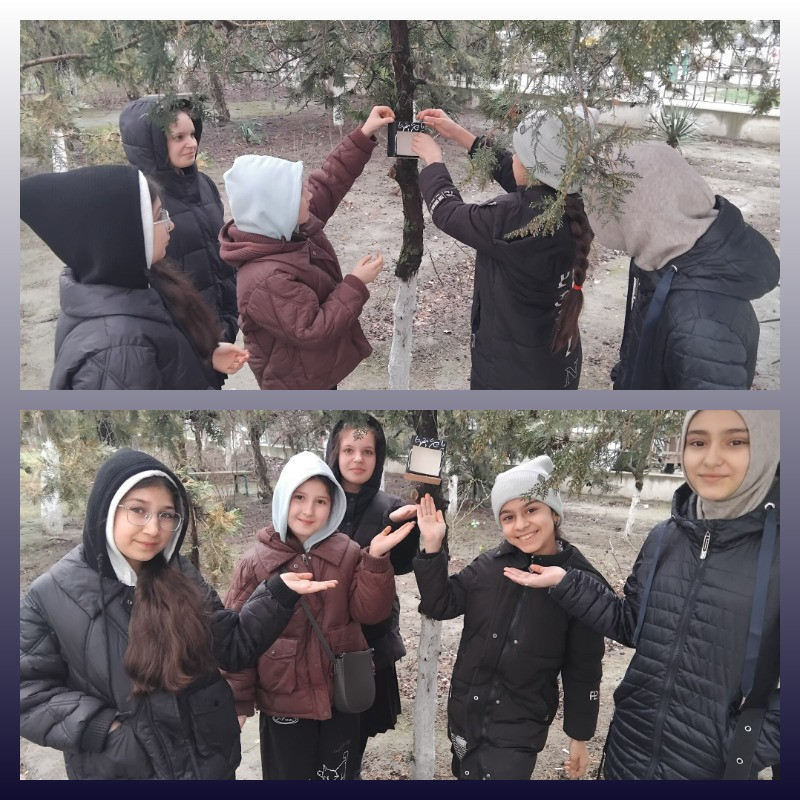 "Подарите птице дом"