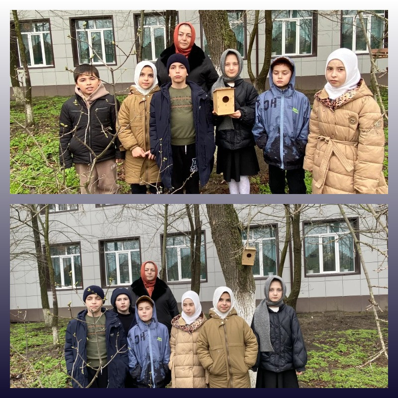 "Подарите птице дом"