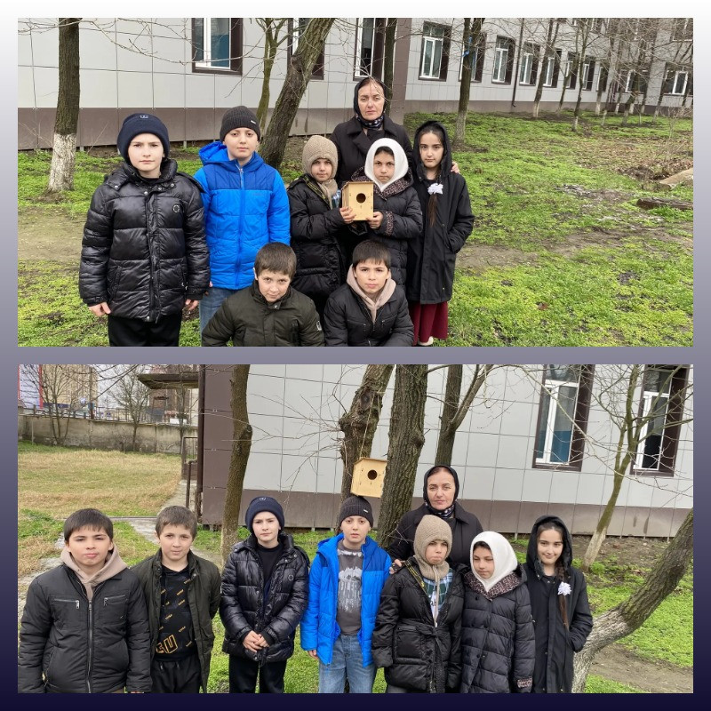 "Подарите птице дом"