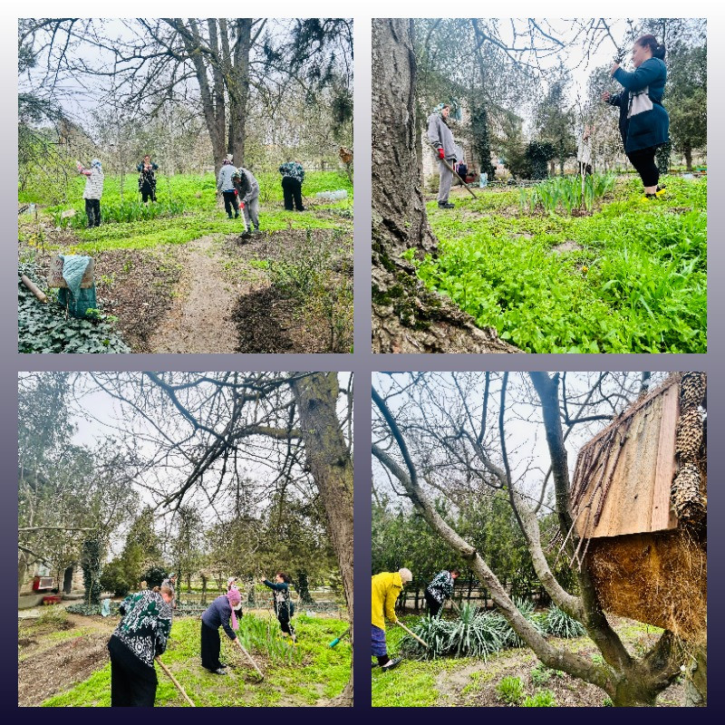 Общегородской субботник