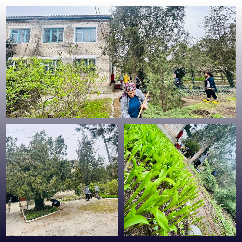 Общегородской субботник