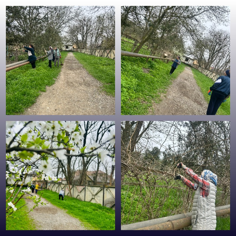 Общегородской субботник