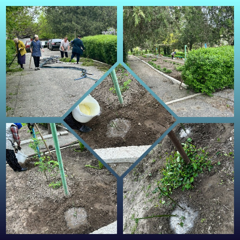 Всероссийский субботник