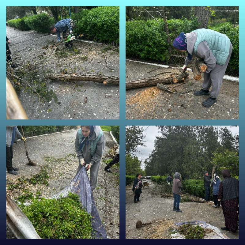 Всероссийский субботник