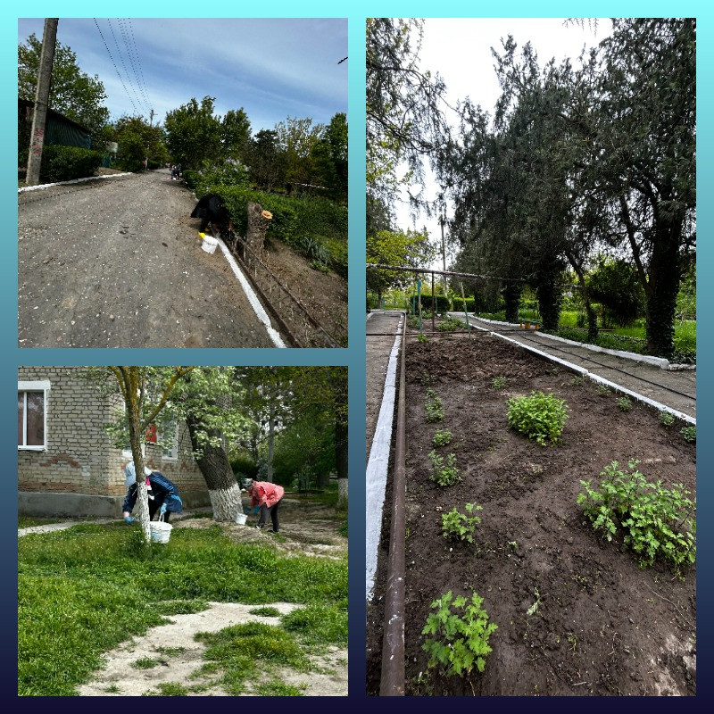 Побелка бордюров и деревьев