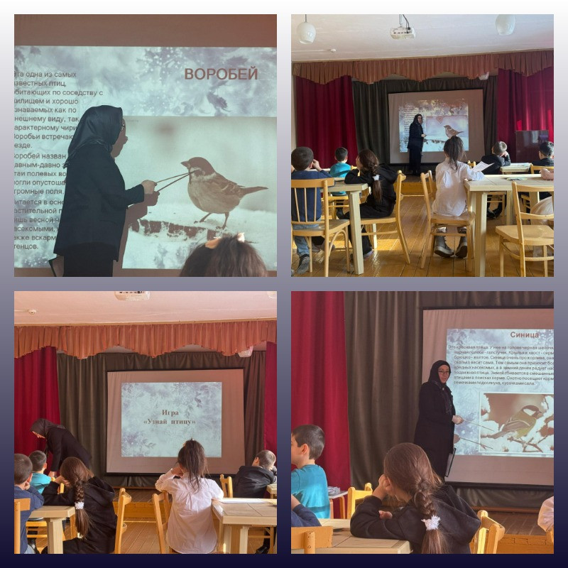 "Зимующие птицы нашей местности"