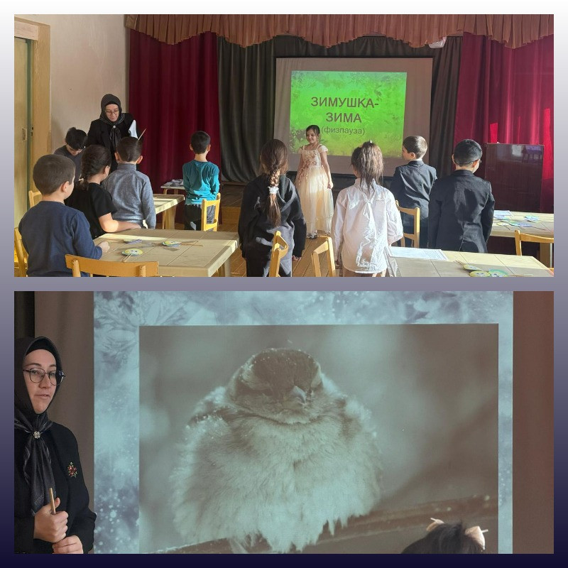 "Зимующие птицы нашей местности"