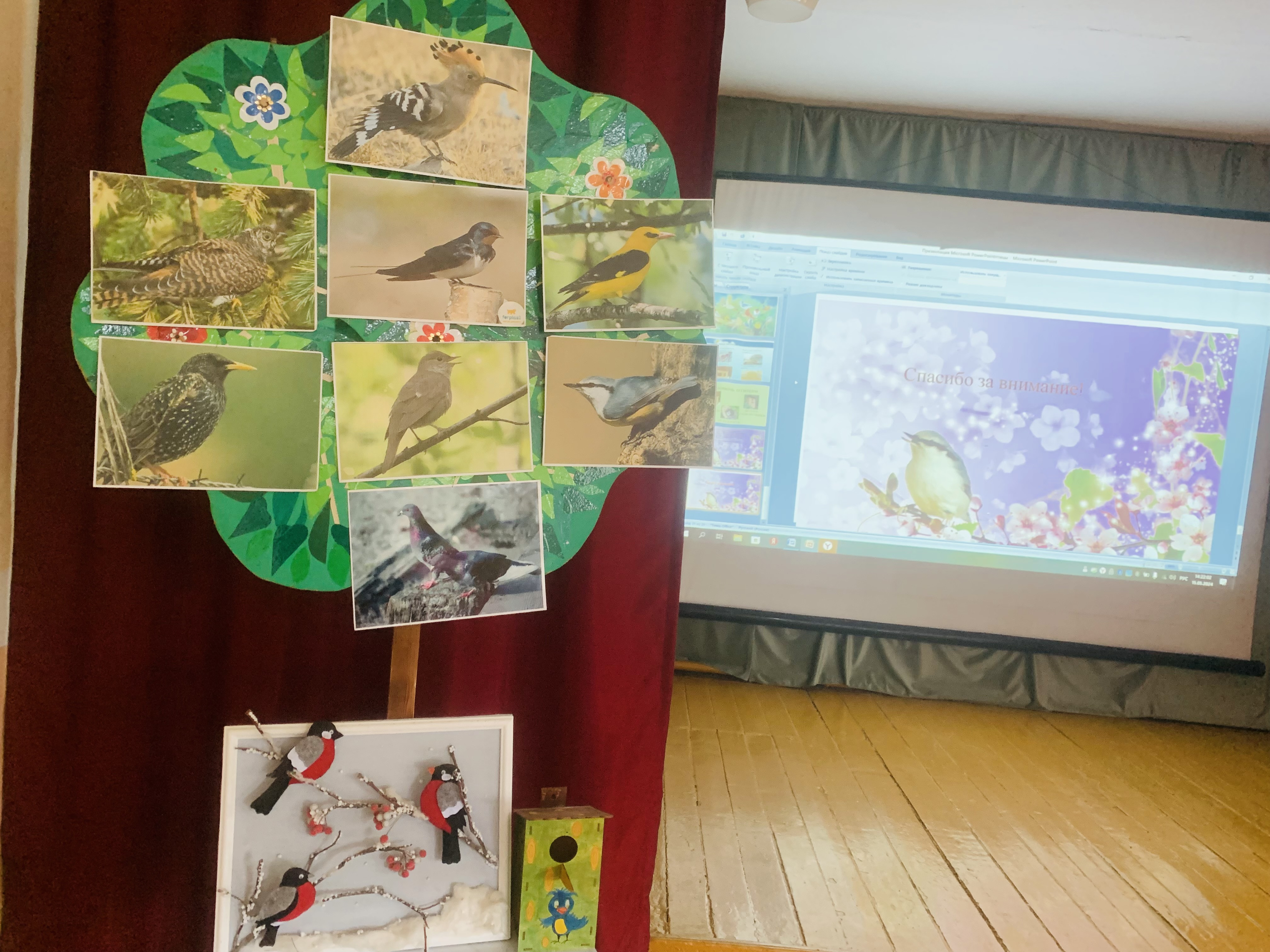 "Значение птиц в природе. Польза и охрана птиц"