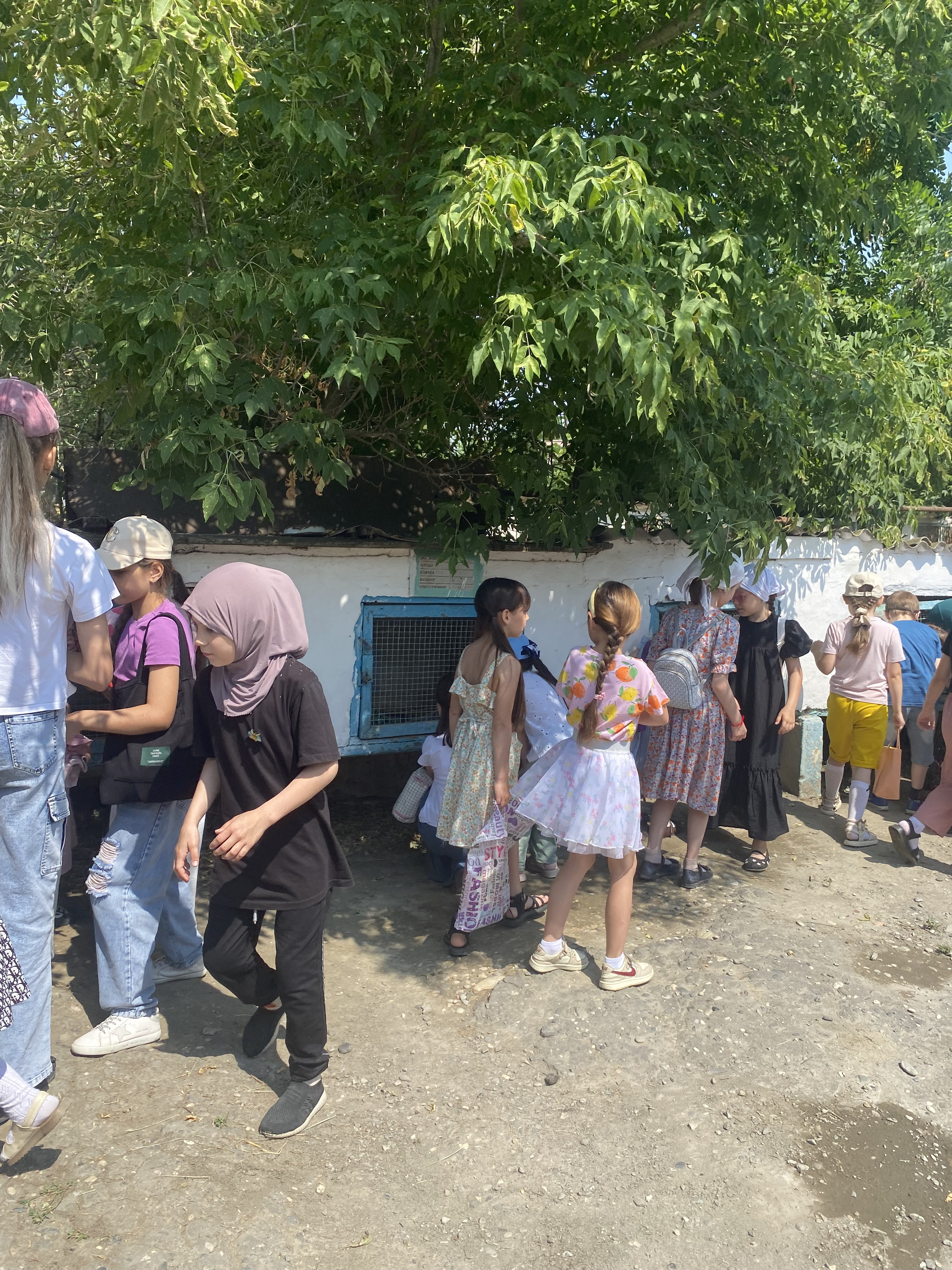 "В мире природы"
