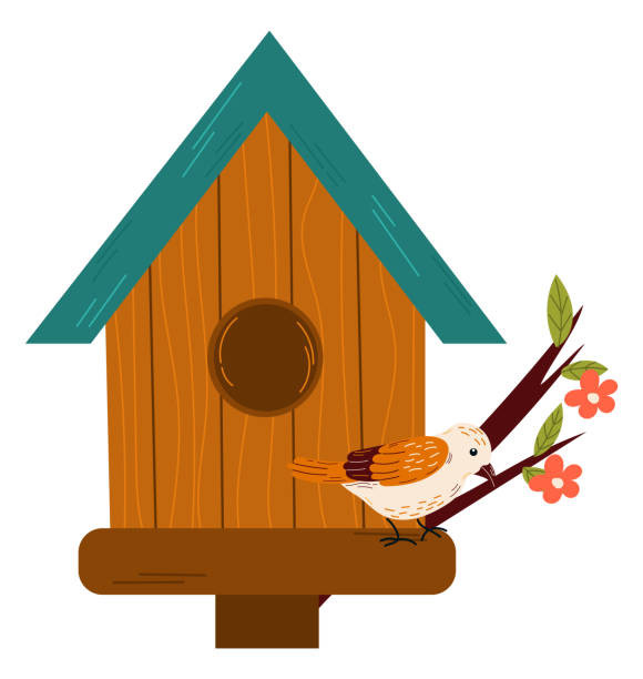 "Подарите птице дом"