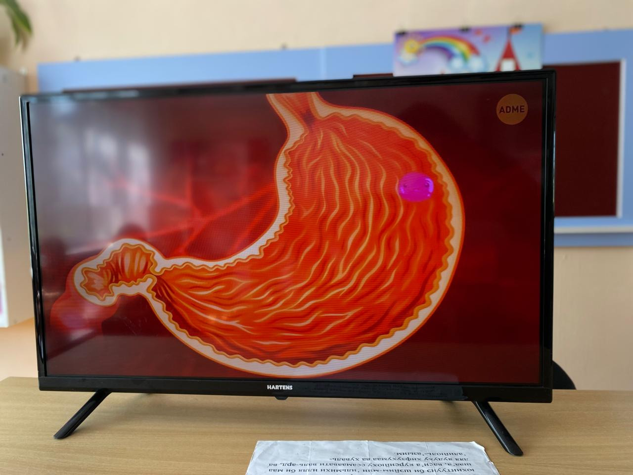 Старшая группа "А" Что и как есть человек!