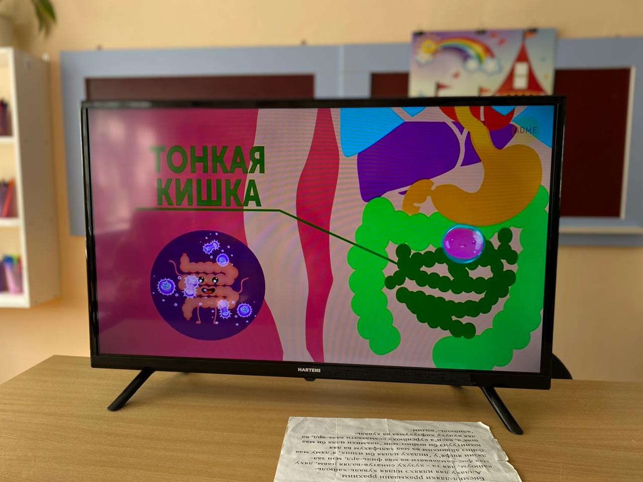 Старшая группа "А" Что и как есть человек!