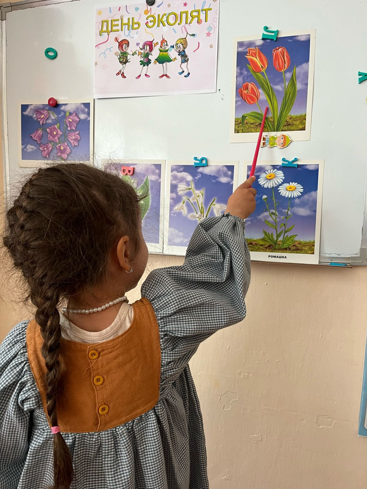 "День эколят"