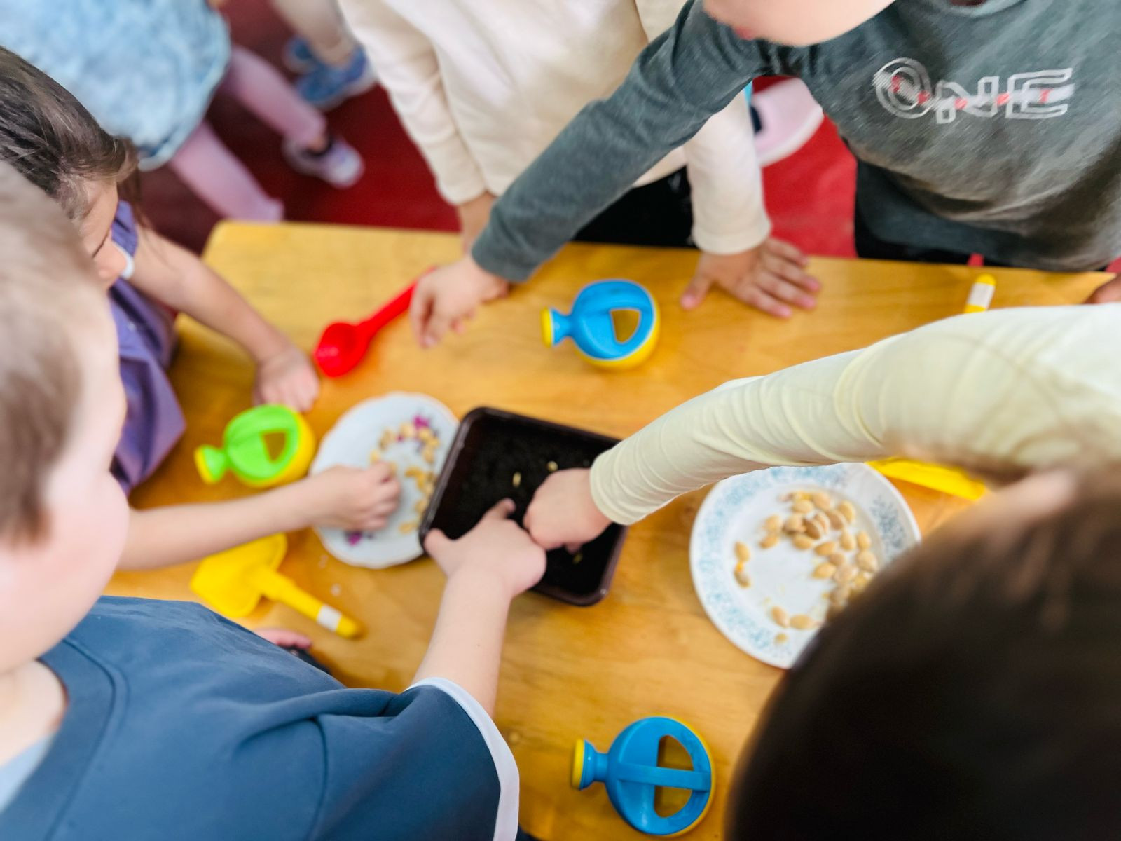 "Огород на подоконнике" "Огород на подоконнике"
