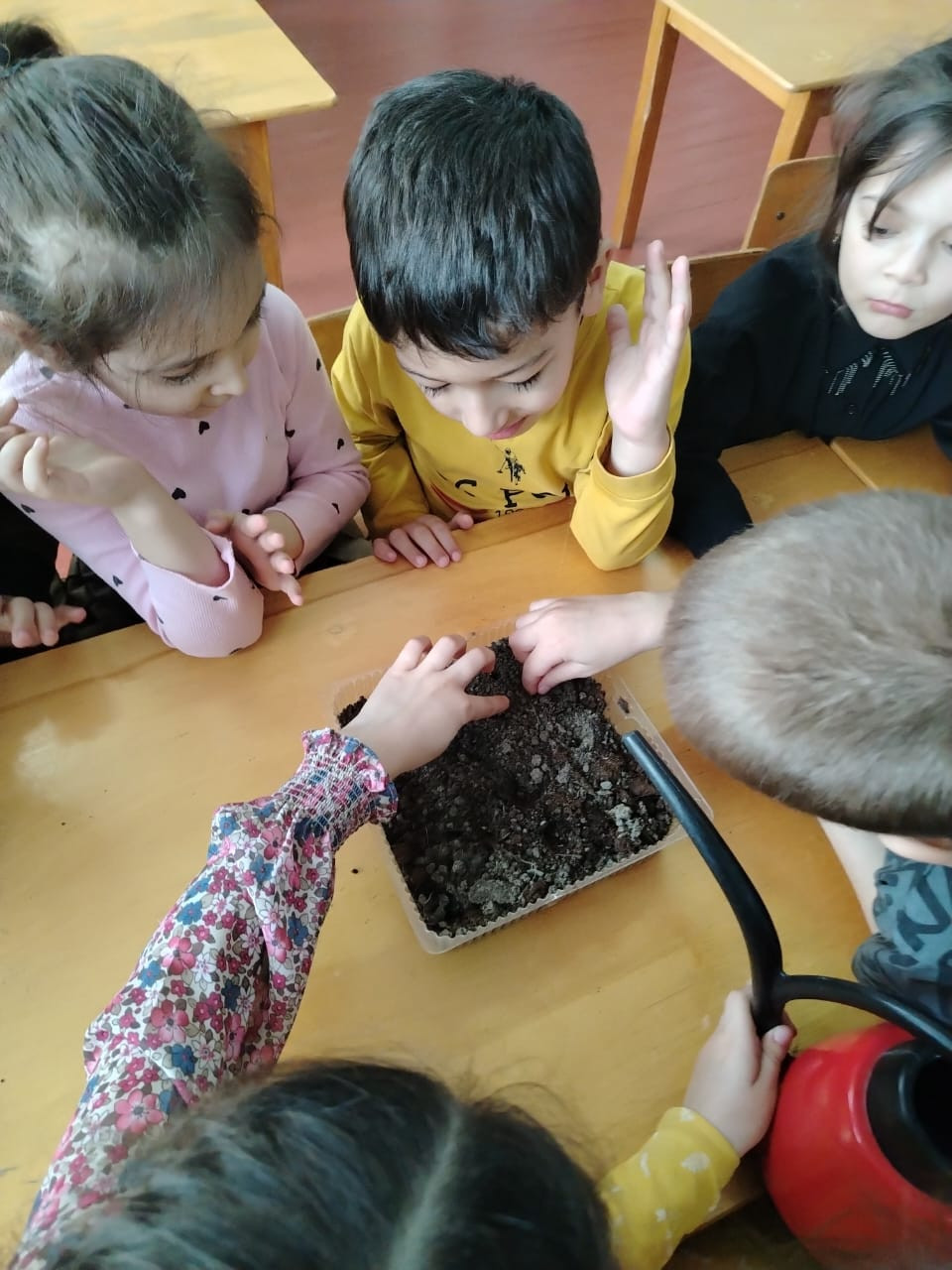 "Огород на подоконнике"