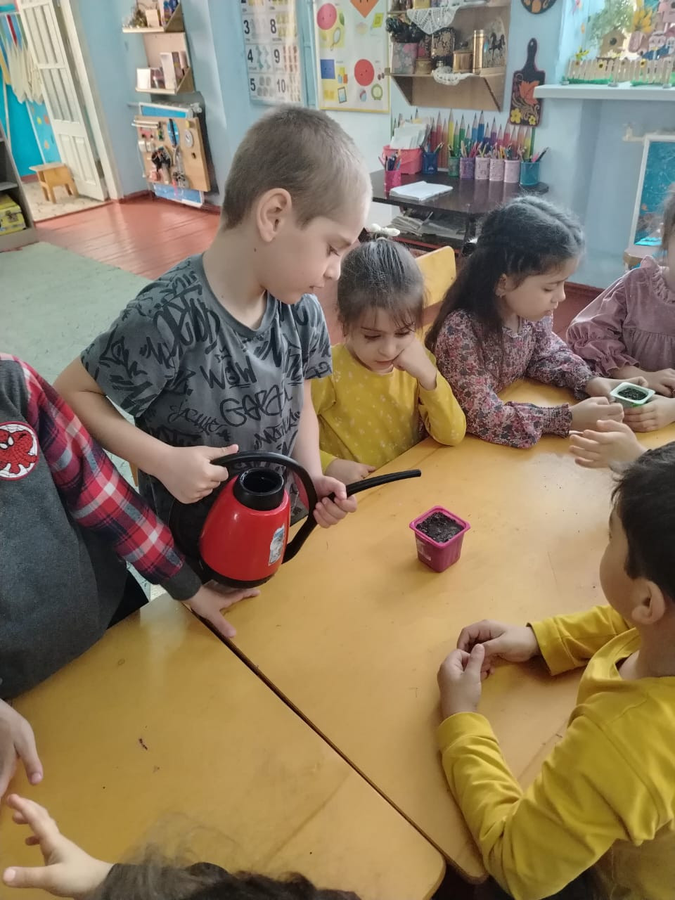 "Огород на подоконнике"