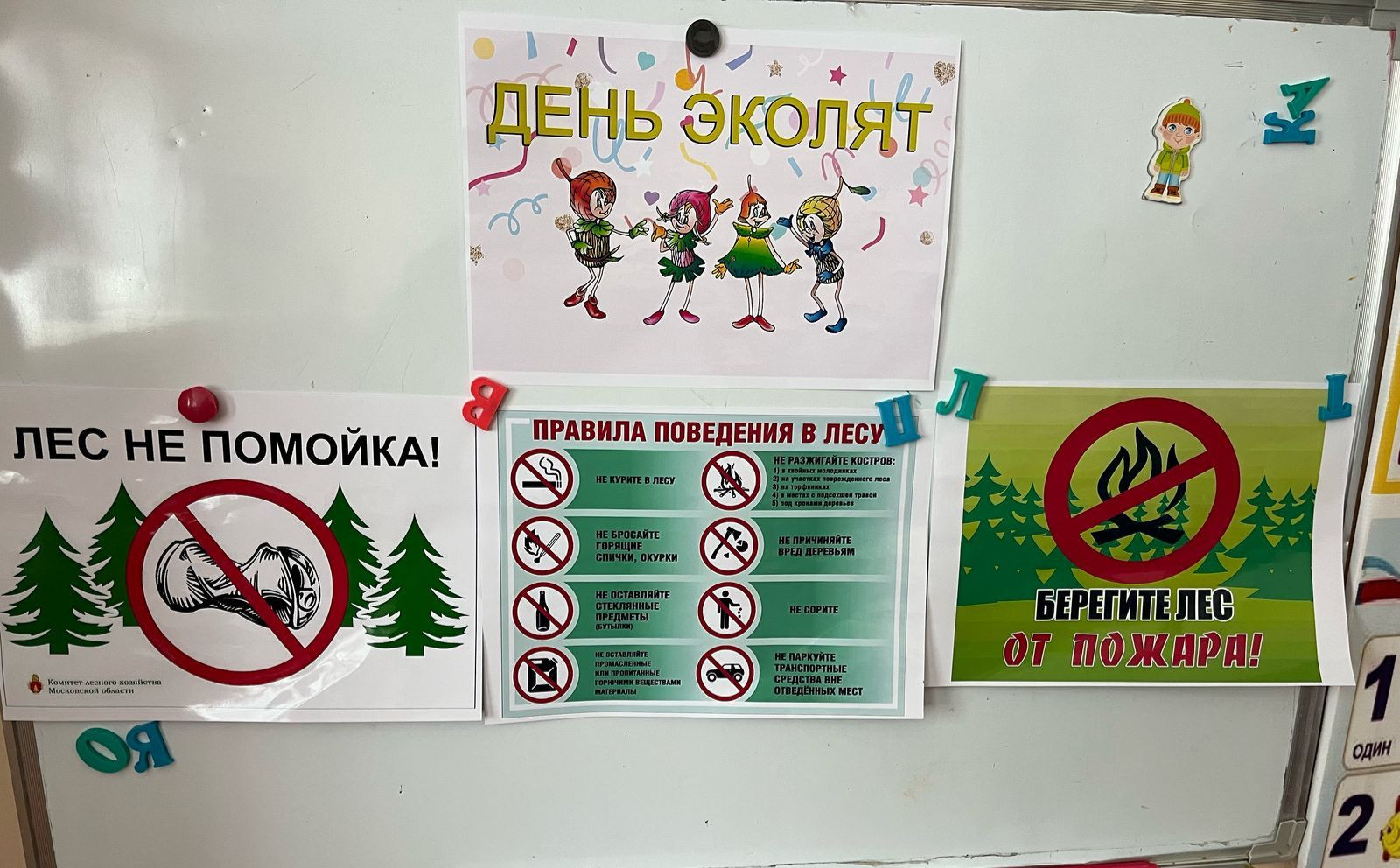 "День эколят"