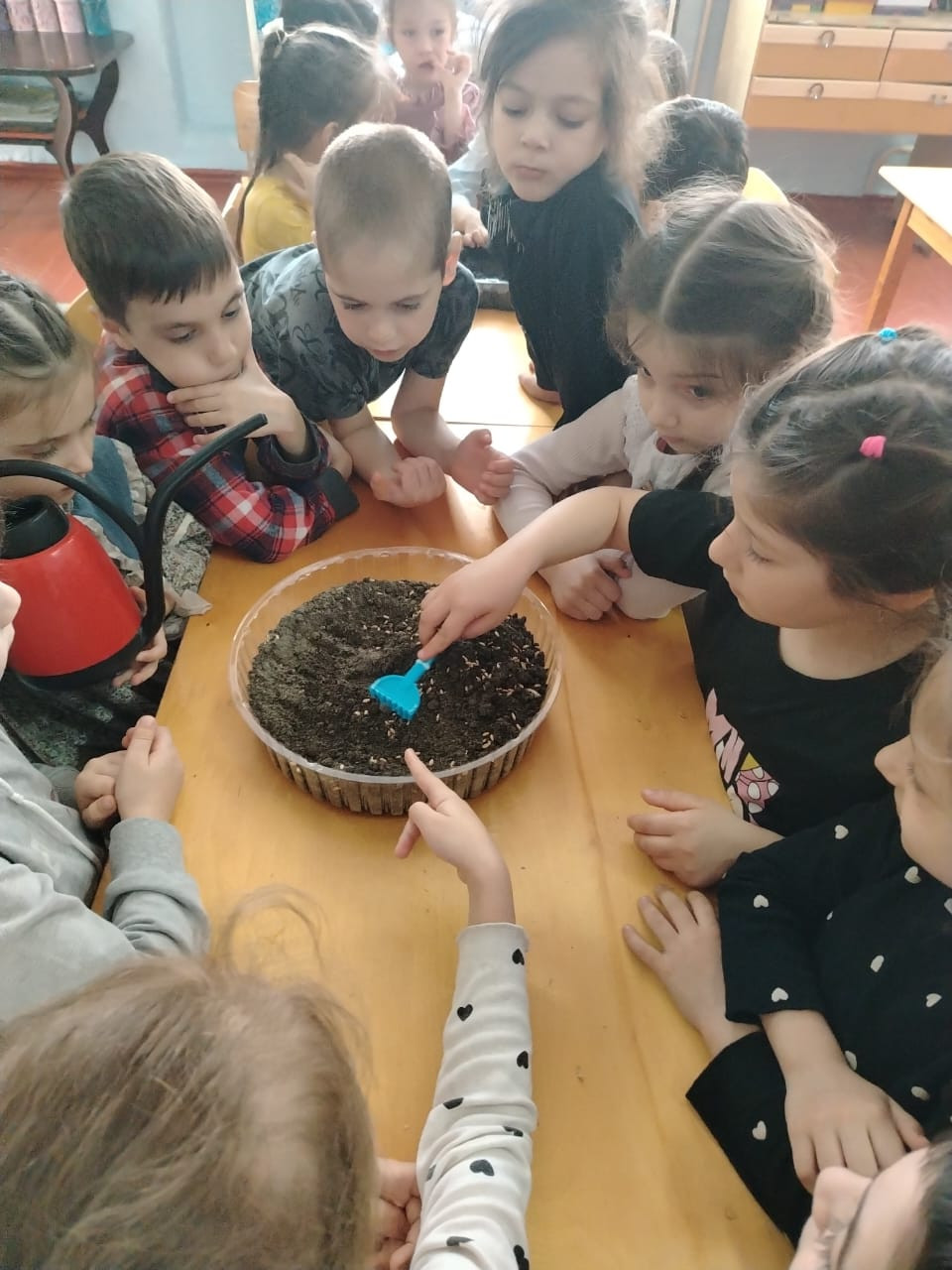 "Огород на подоконнике"