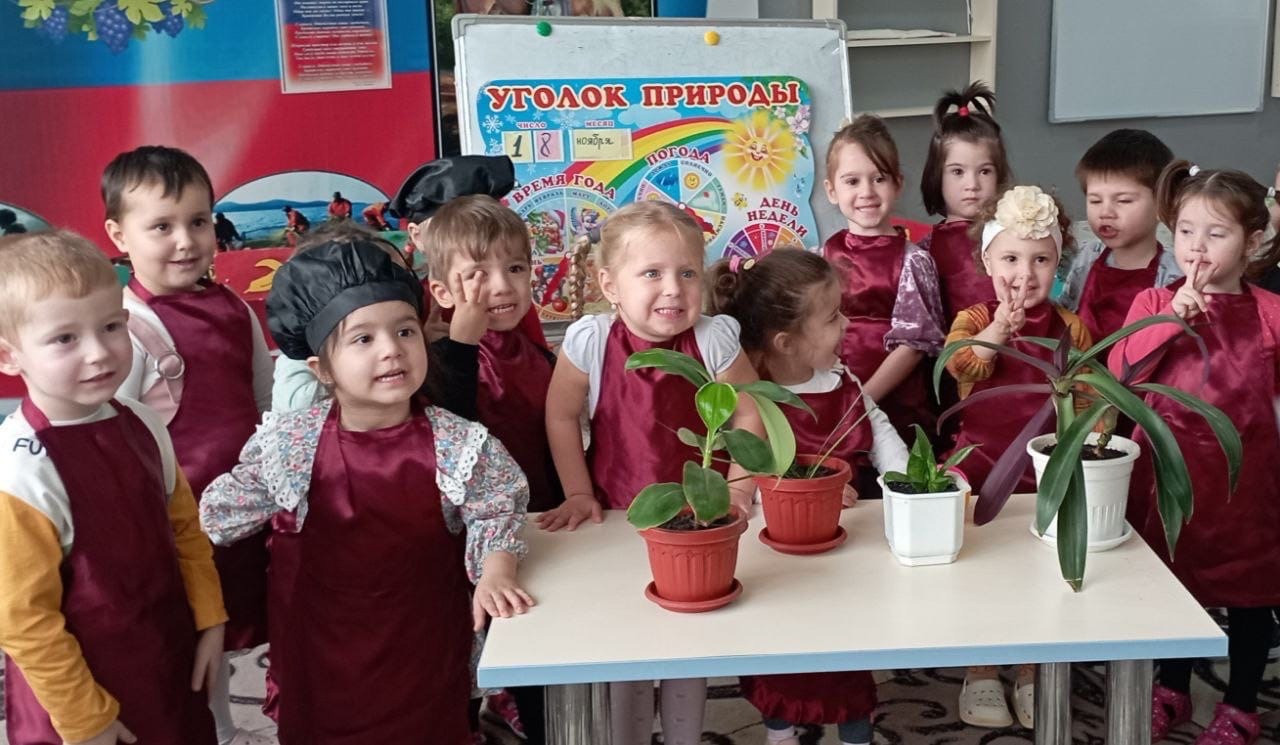 Тема: "Комнатные растения" Цель: формировать понятия растения основные признаки; Растут дома, в горшках, за ними ухаживают люди. Эти цветы не могут жить на улице. Вторая младшая группа