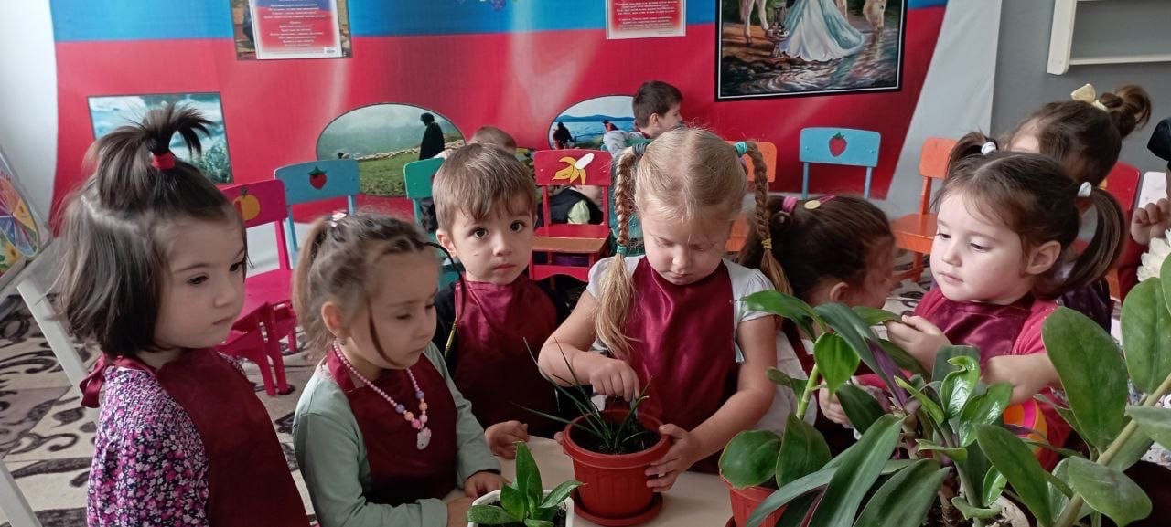 Тема: "Комнатные растения" Цель: формировать понятия растения основные признаки; Растут дома, в горшках, за ними ухаживают люди. Эти цветы не могут жить на улице. Вторая младшая группа