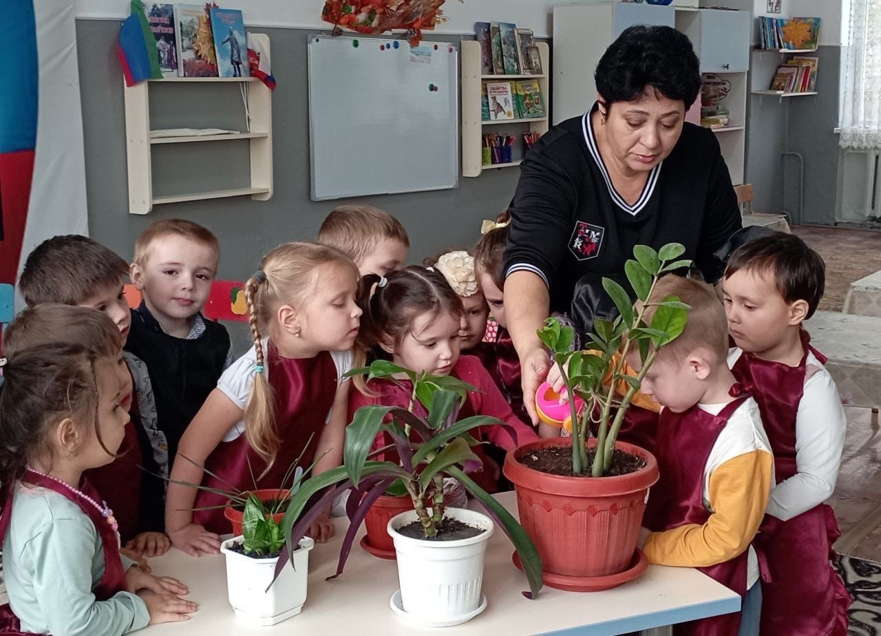 Тема: "Комнатные растения" Цель: формировать понятия растения основные признаки; Растут дома, в горшках, за ними ухаживают люди. Эти цветы не могут жить на улице. Вторая младшая группа