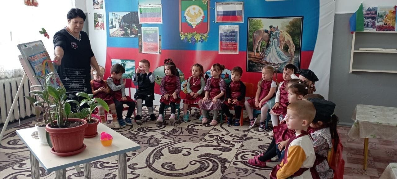 Тема: "Комнатные растения" Цель: формировать понятия растения основные признаки; Растут дома, в горшках, за ними ухаживают люди. Эти цветы не могут жить на улице. Вторая младшая группа