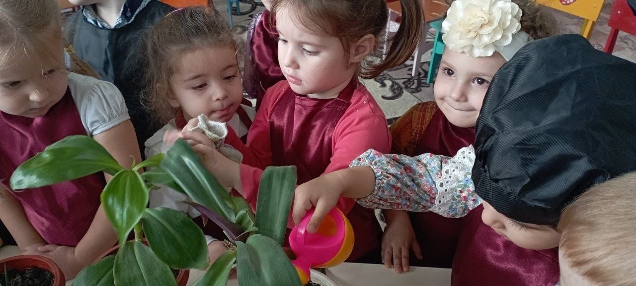 Тема: "Комнатные растения" Цель: формировать понятия растения основные признаки; Растут дома, в горшках, за ними ухаживают люди. Эти цветы не могут жить на улице. Вторая младшая группа