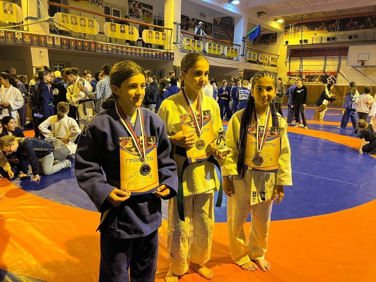 Турнир по дзюдо среди девушек Турнир по дзюдо среди девушек