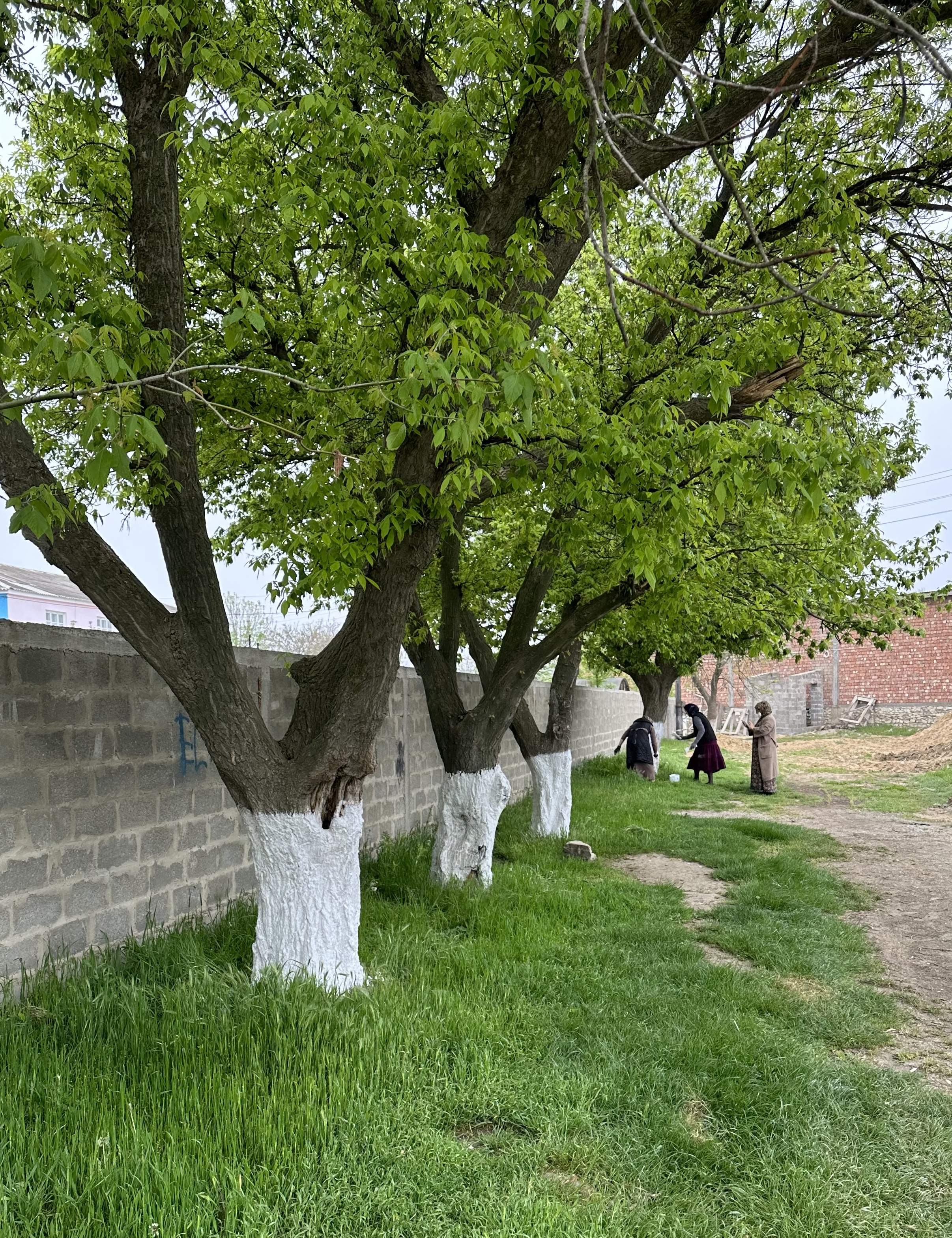 Общереспубликанский субботник по санитарной очистке и благоустройству