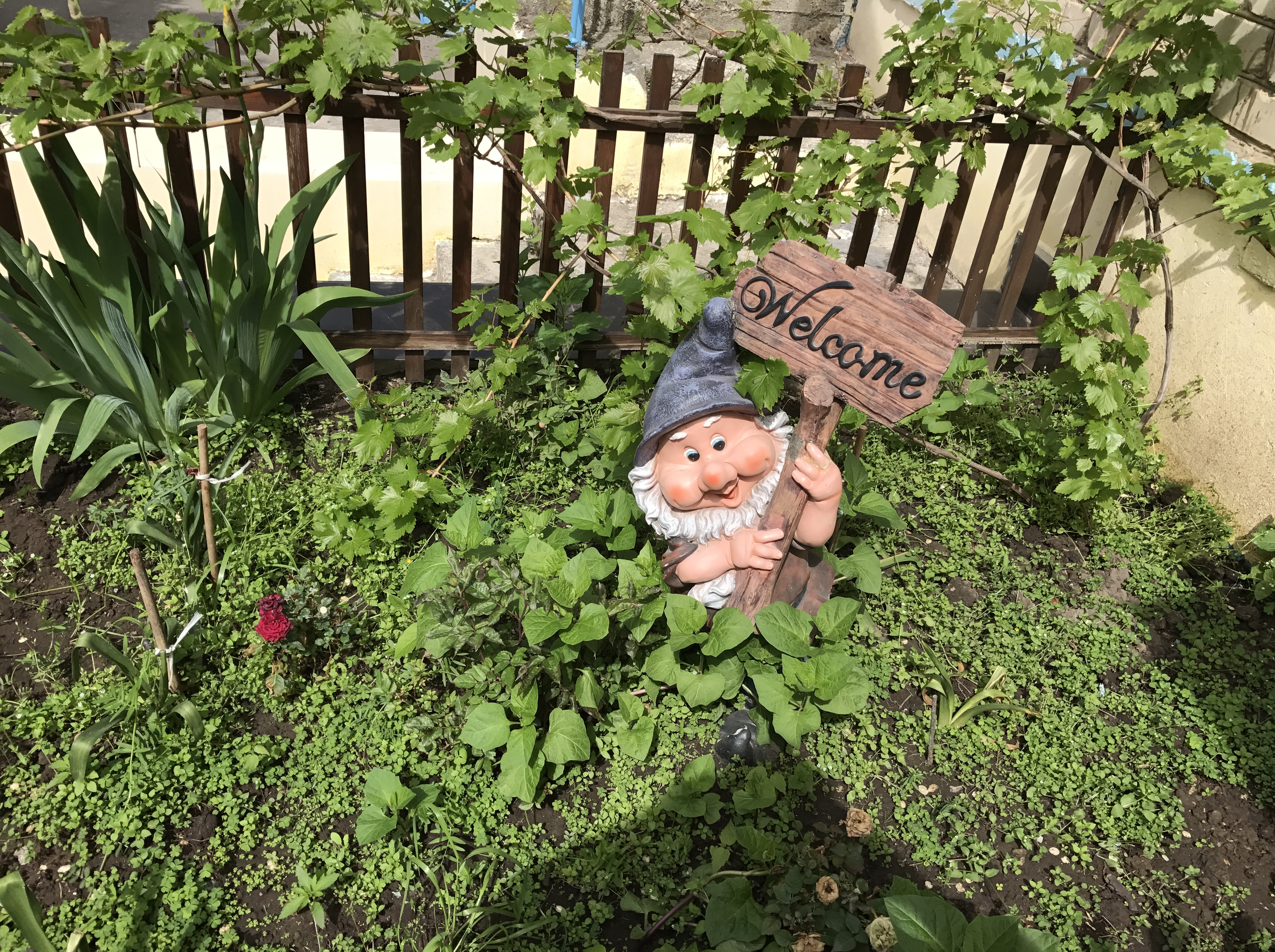 ГРУППЫ на 2025-2026 учебный год.