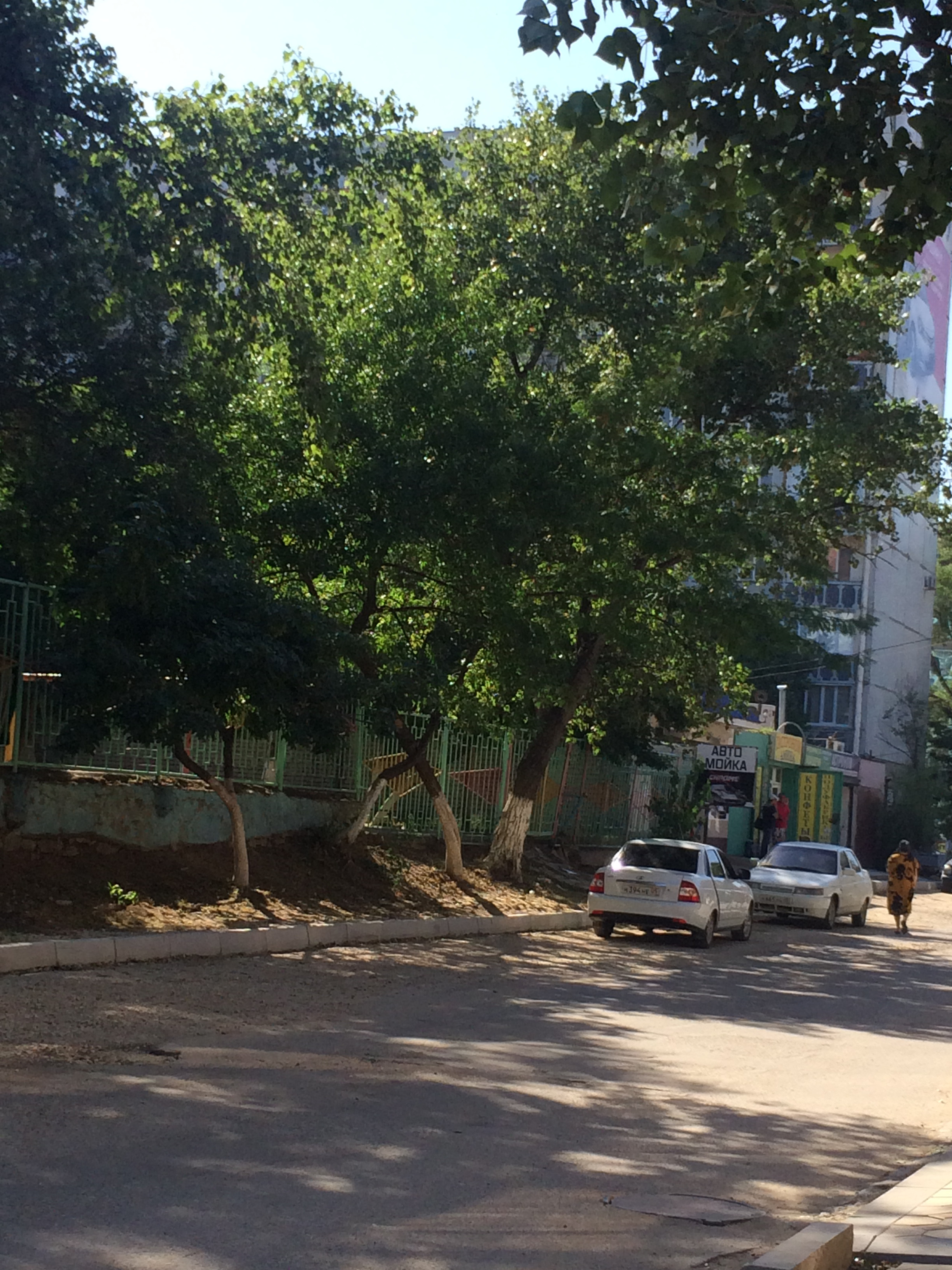 НАШ ЛЮБИМЫЙ ДЕТСКИЙ САД.