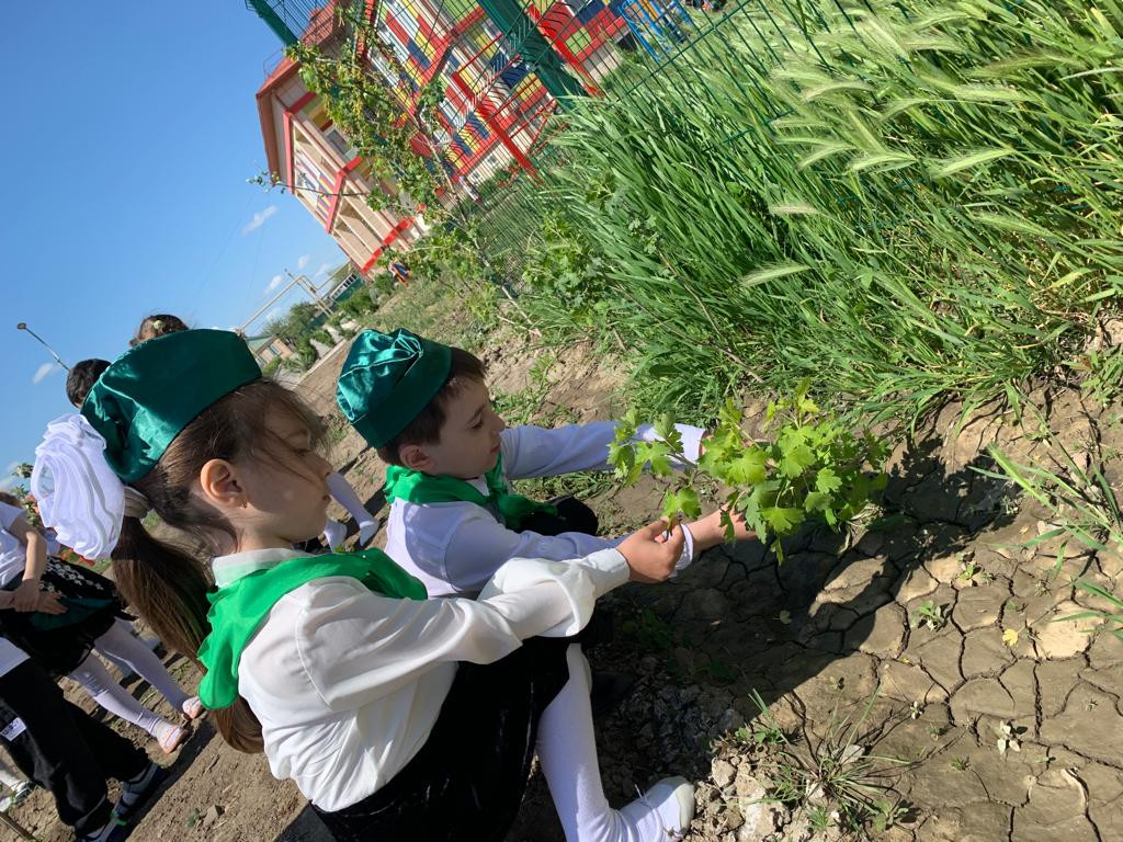 Старшая группа "Лучики"