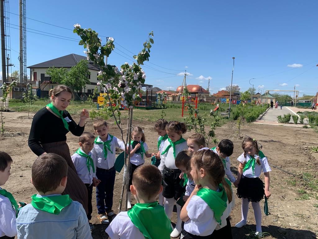 Старшая группа "Лучики"