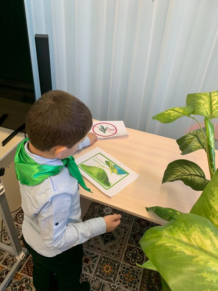 Старшая группа "Лучики"