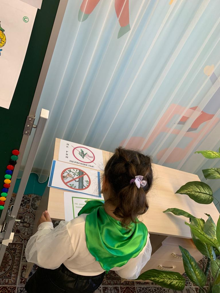 Старшая группа "Лучики"