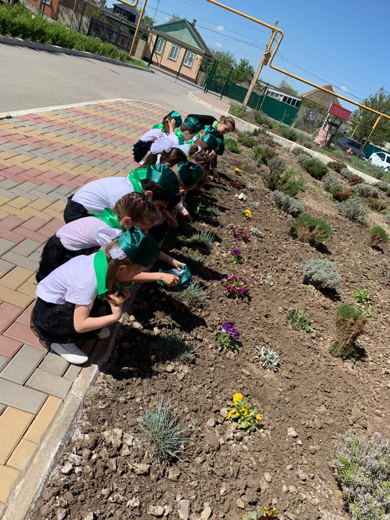 Старшая группа "Лучики"