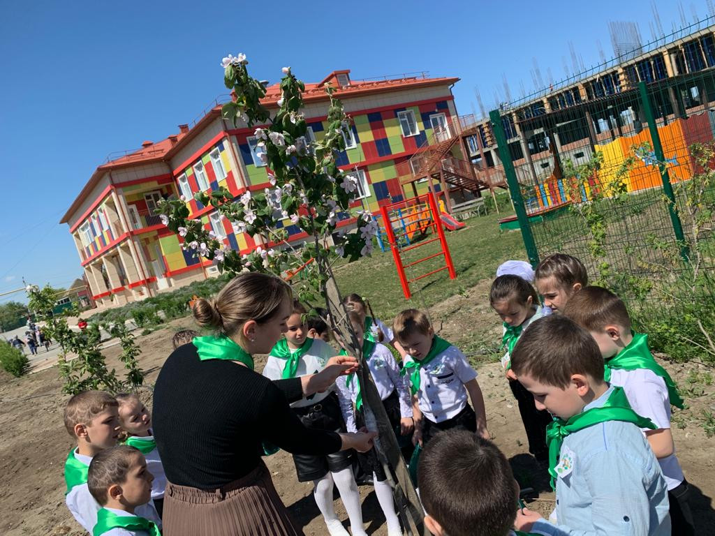 Старшая группа "Лучики"