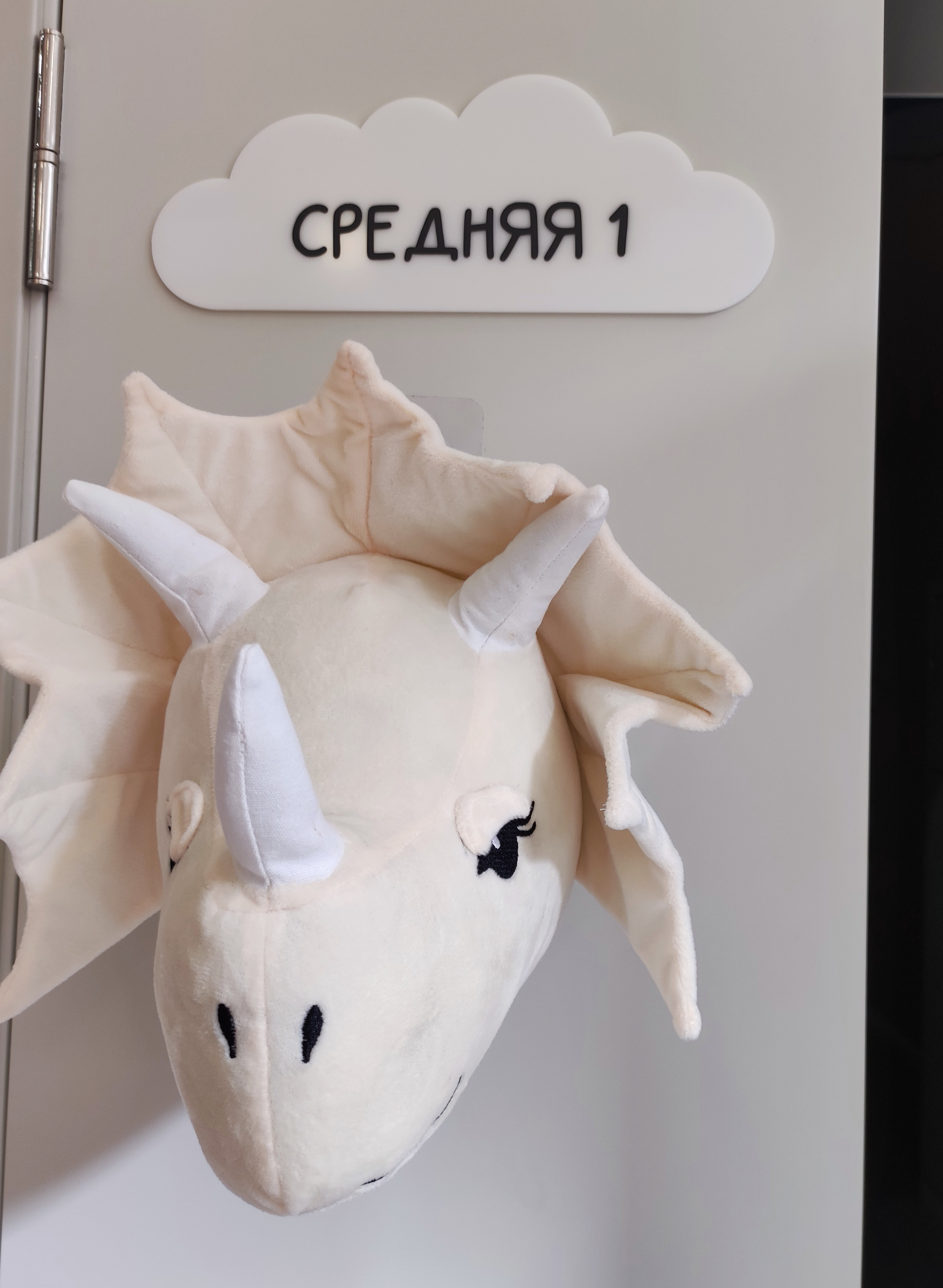 Средняя группа 1