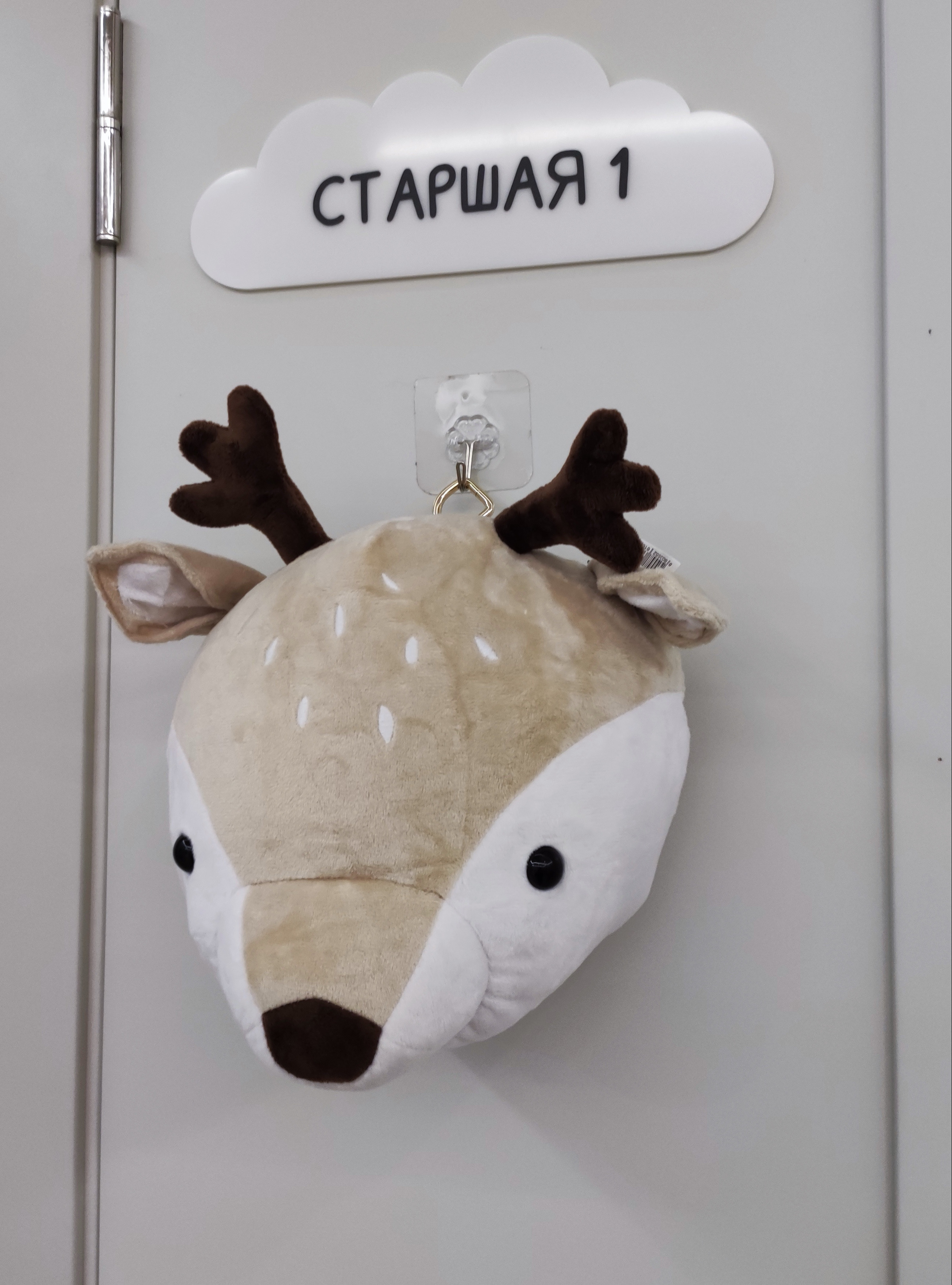 Старшая группа 1