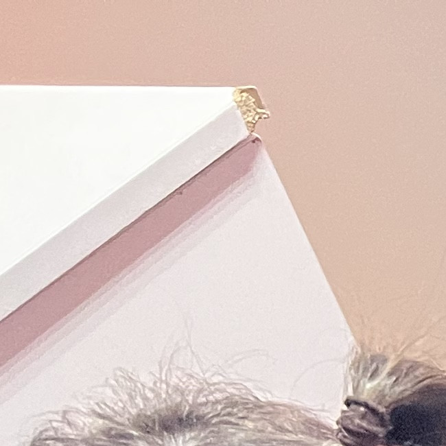 Мастер классы