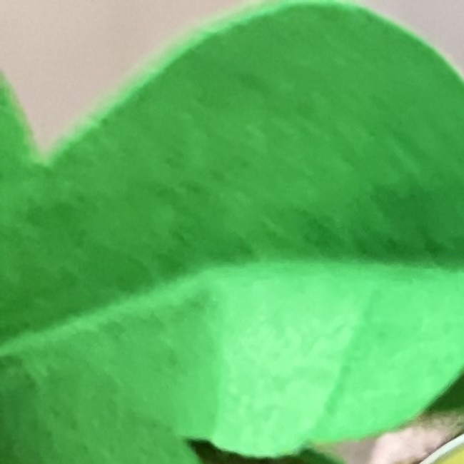 Праздник осени